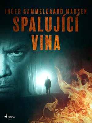 cover image of Spalující vina